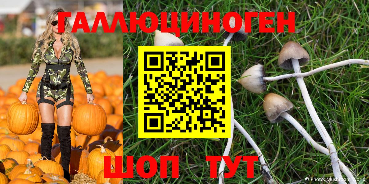 Псилоцибиновые грибы Psilocybine cubensis Кизилюрт